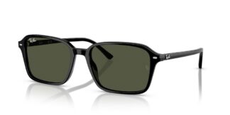 Ray-Ban Raimond RB2231F